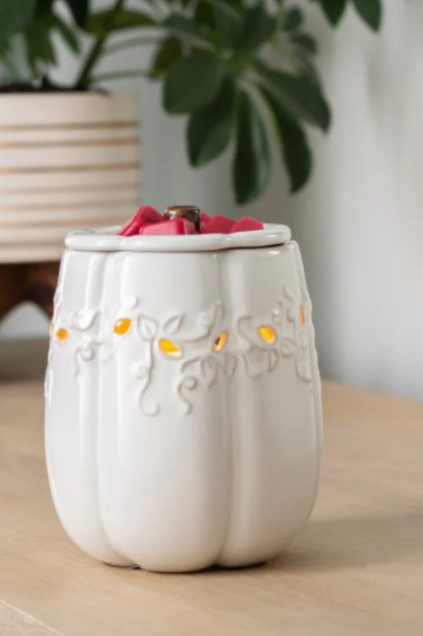 White Pumpkin Illumination Wax Melt Warmer