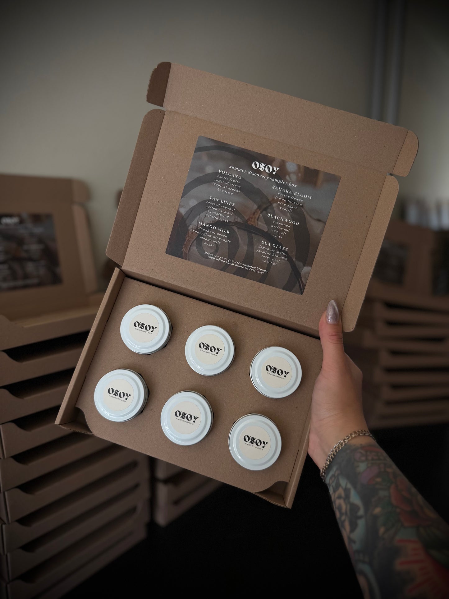 Summer Discovery Box Sampler Set