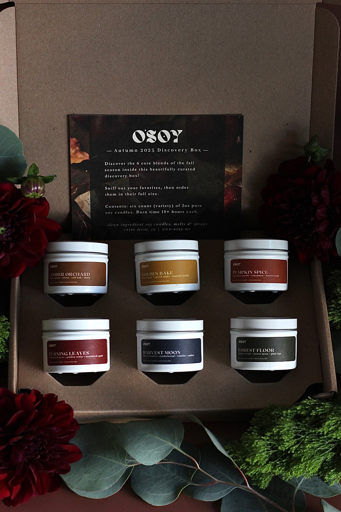 Fall (Autumn) Discovery Box