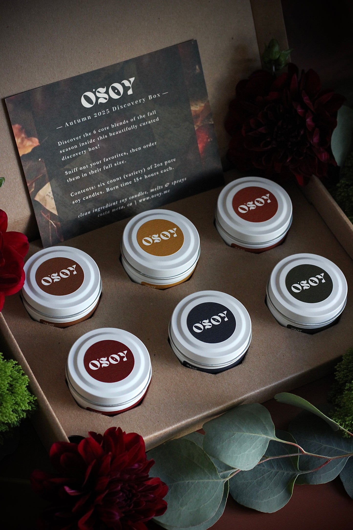 Fall (Autumn) Discovery Box