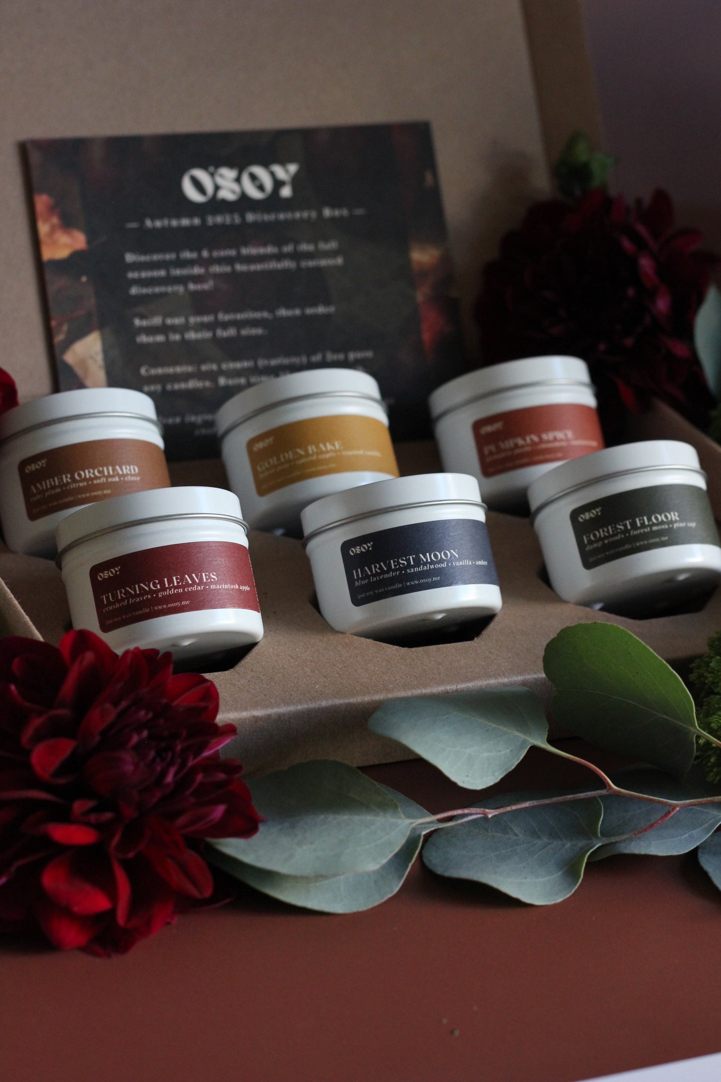 Set of small jars with labels on a box, surrounded by flowers and leaves.