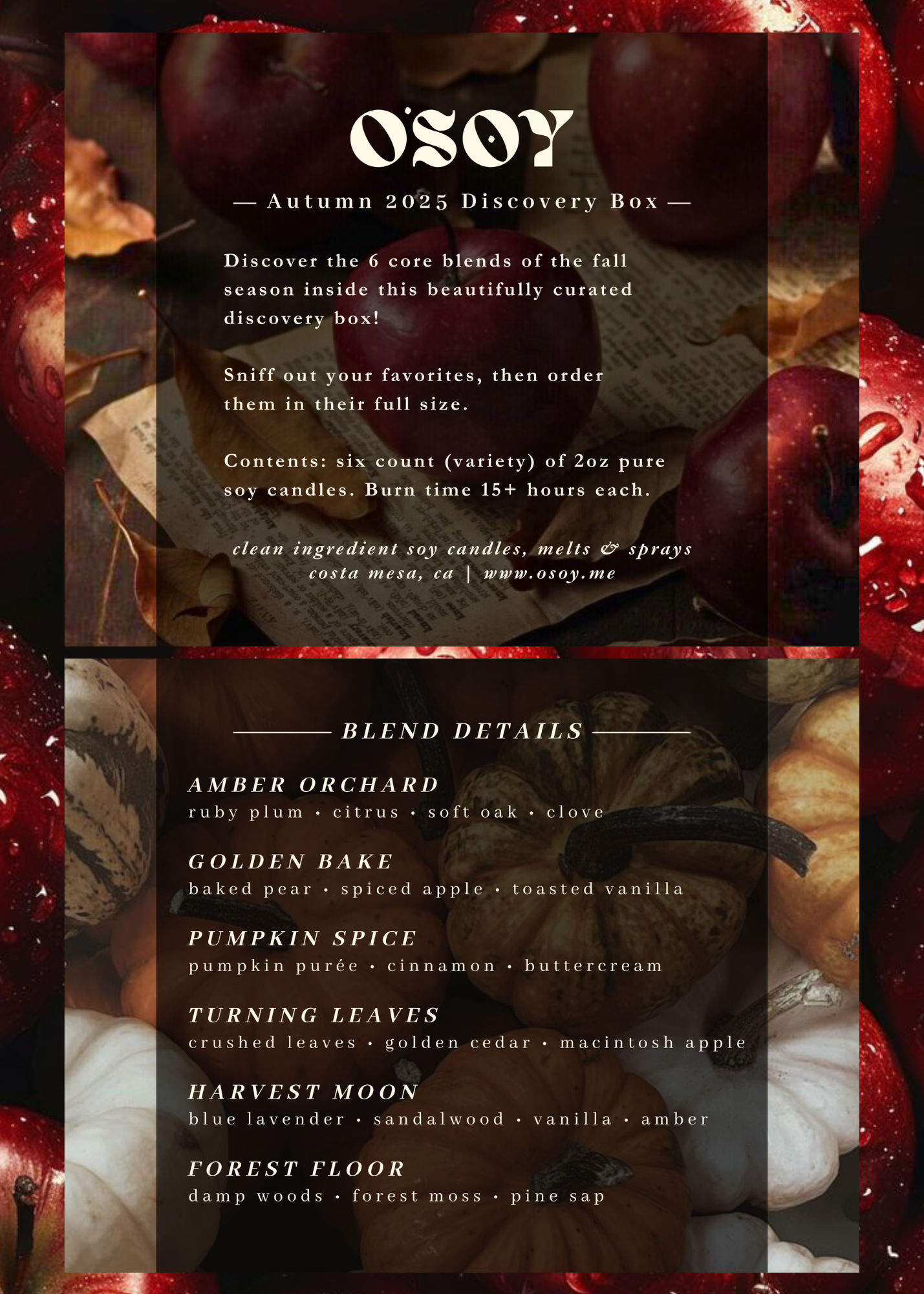 Fall (Autumn) Discovery Box