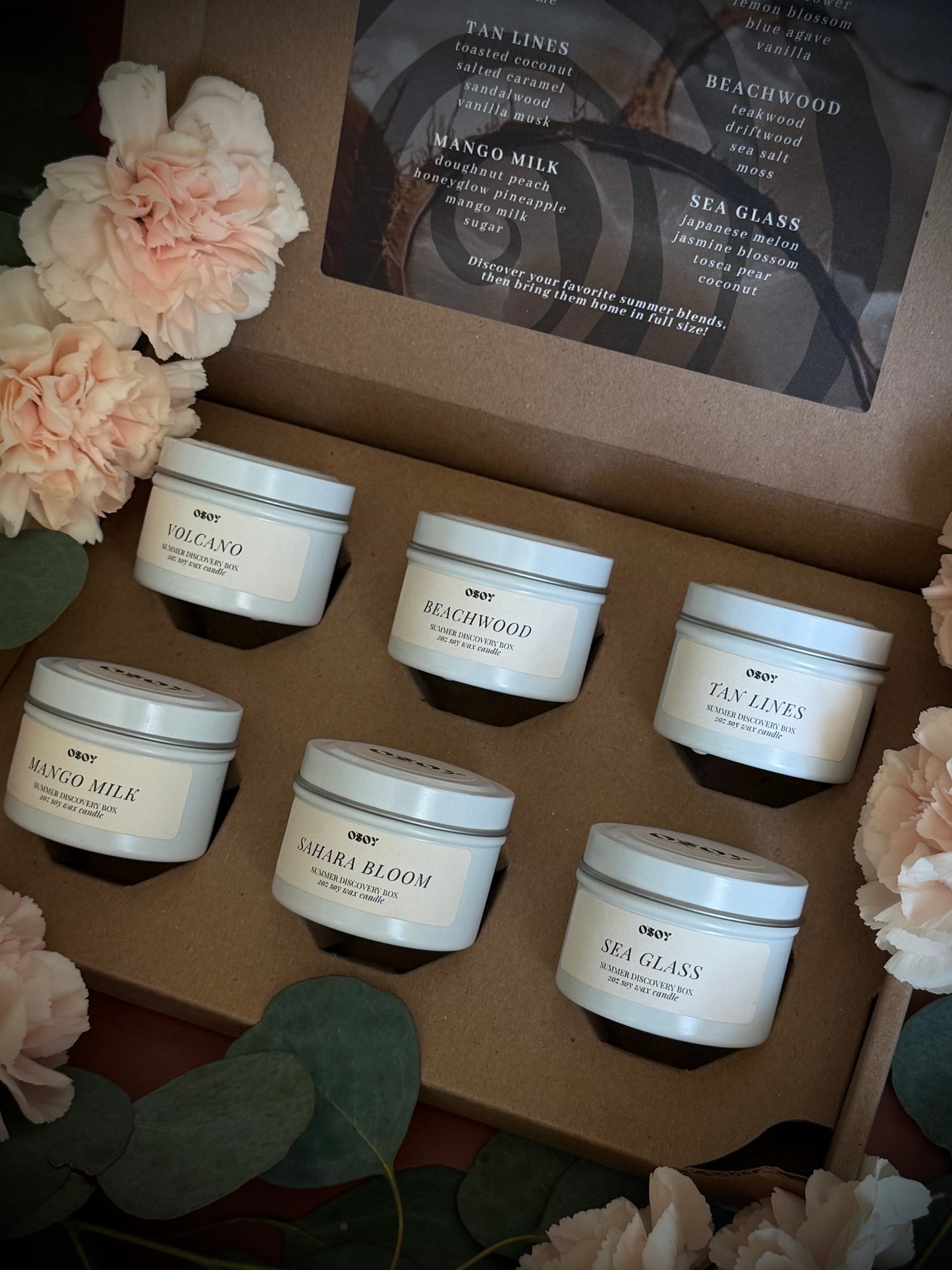 Summer Discovery Box Sampler Set