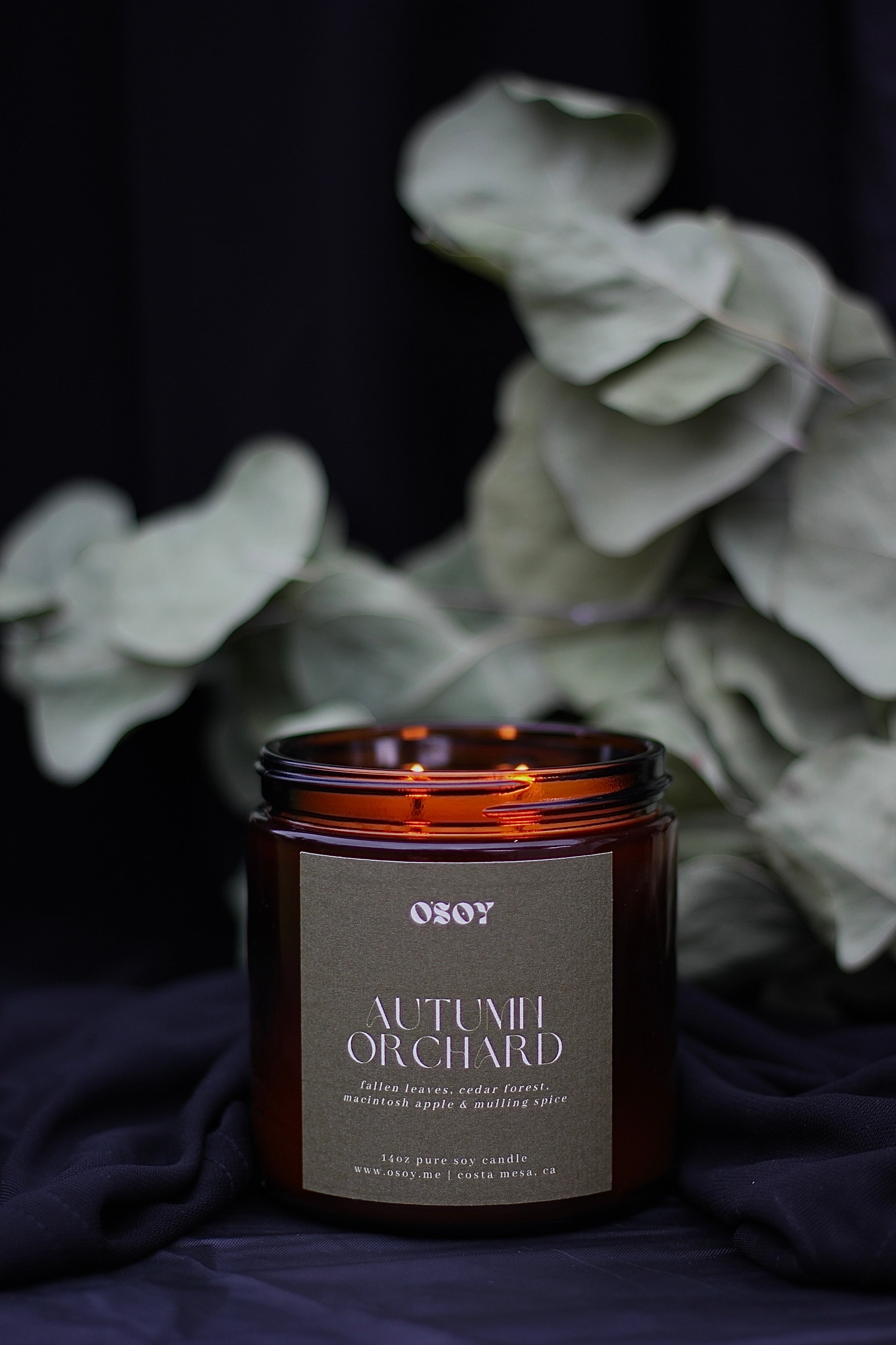 Autumn Orchard- Large 14oz Soy Candle