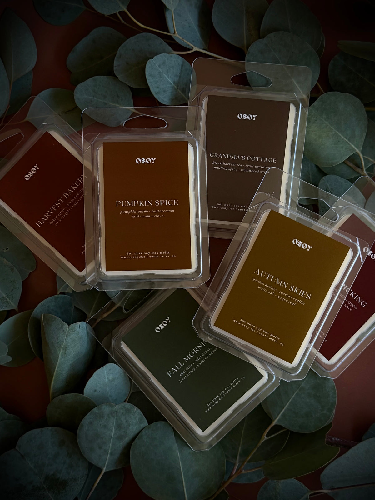 Fall & Halloween Wax Melts (3oz)