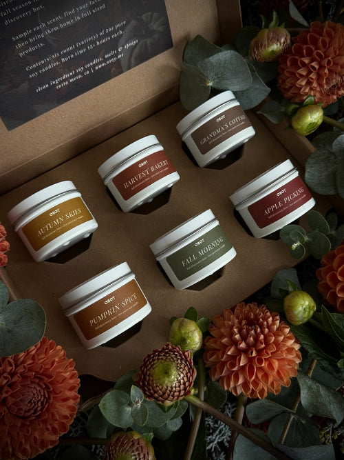 Fall Discovery Box Sampler Set