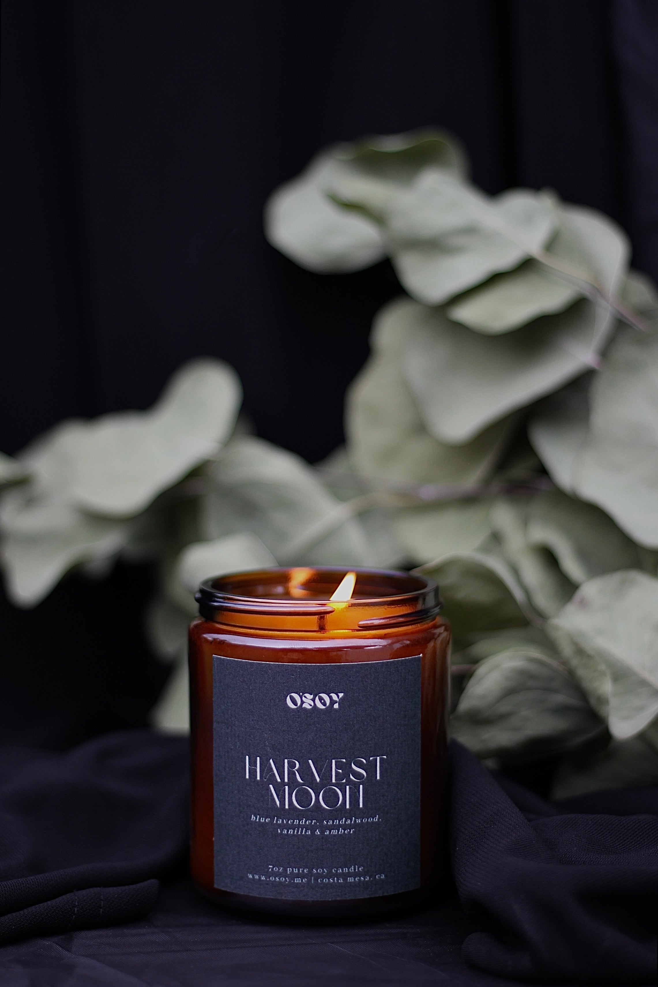 Harvest Moon- 7oz Soy Candle
