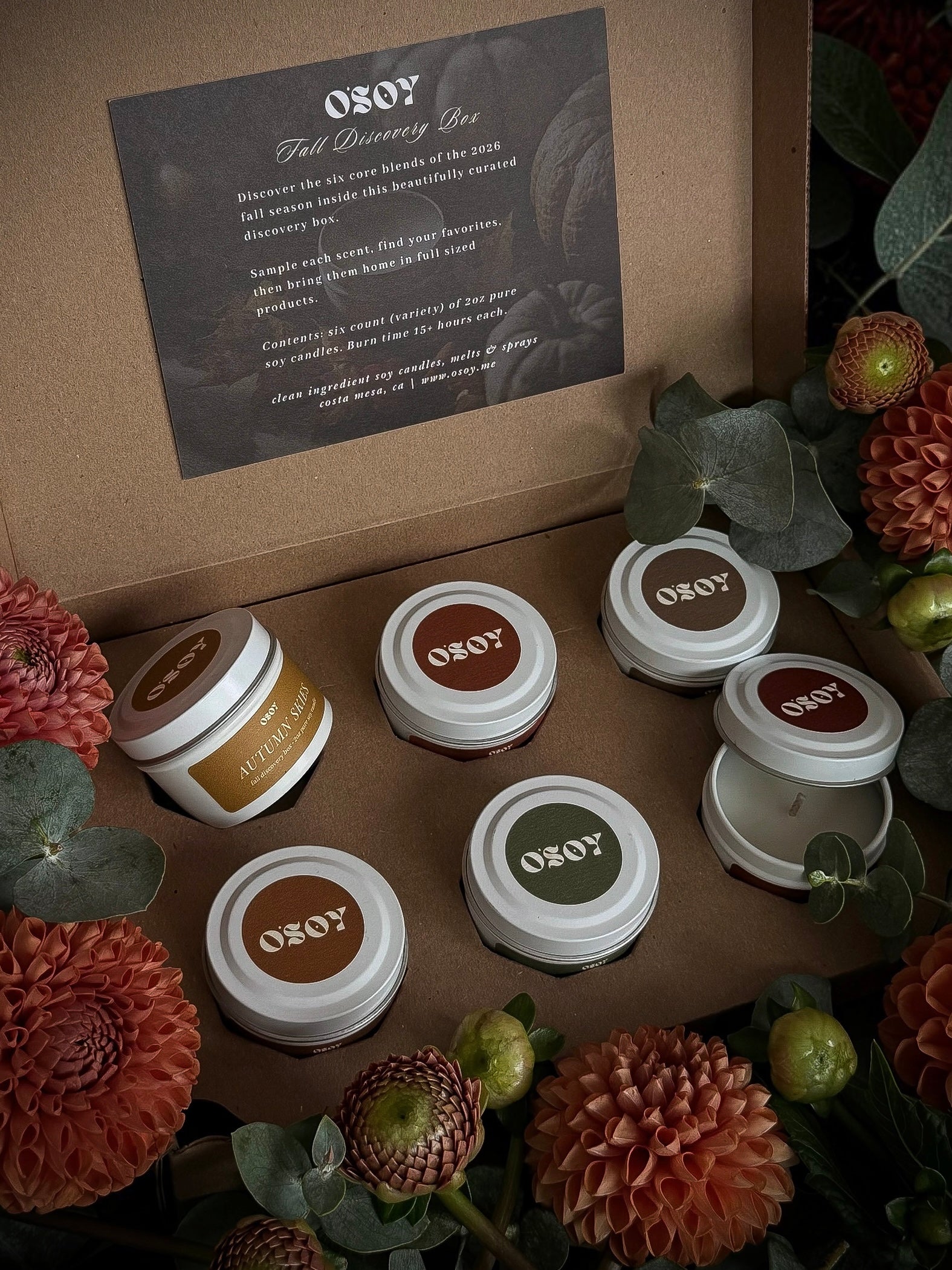 Fall Discovery Box Sampler Set