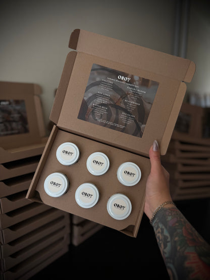 Summer Discovery Box Sampler Set