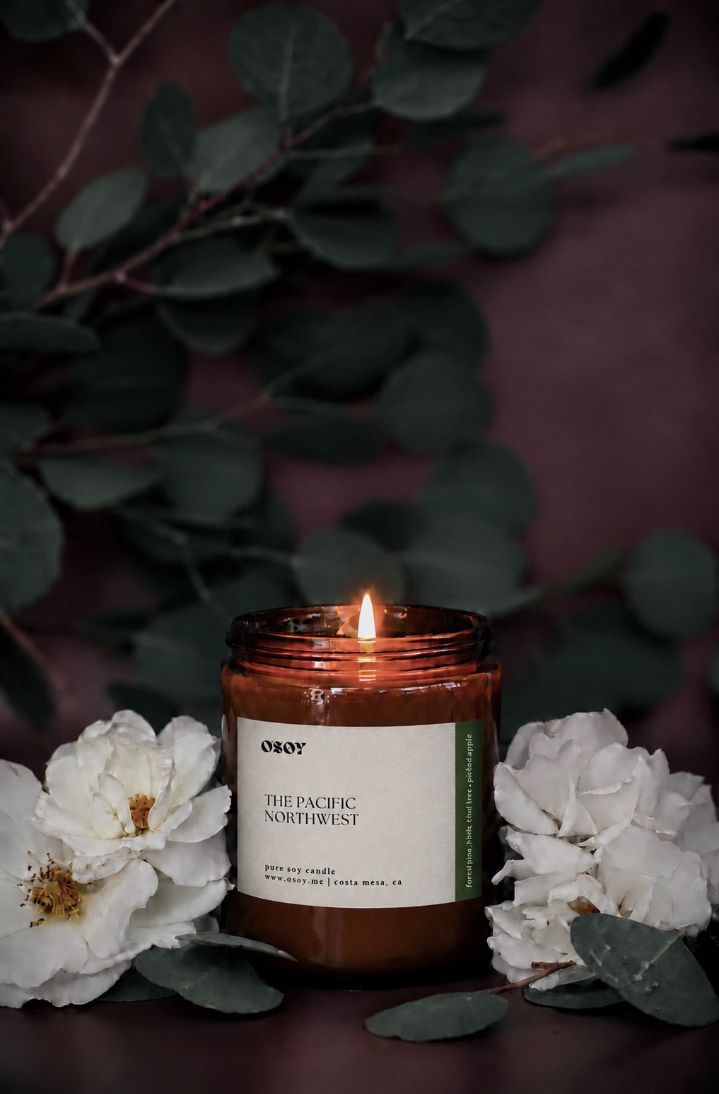 Pacific Northwest Soy Candles (7-12oz)