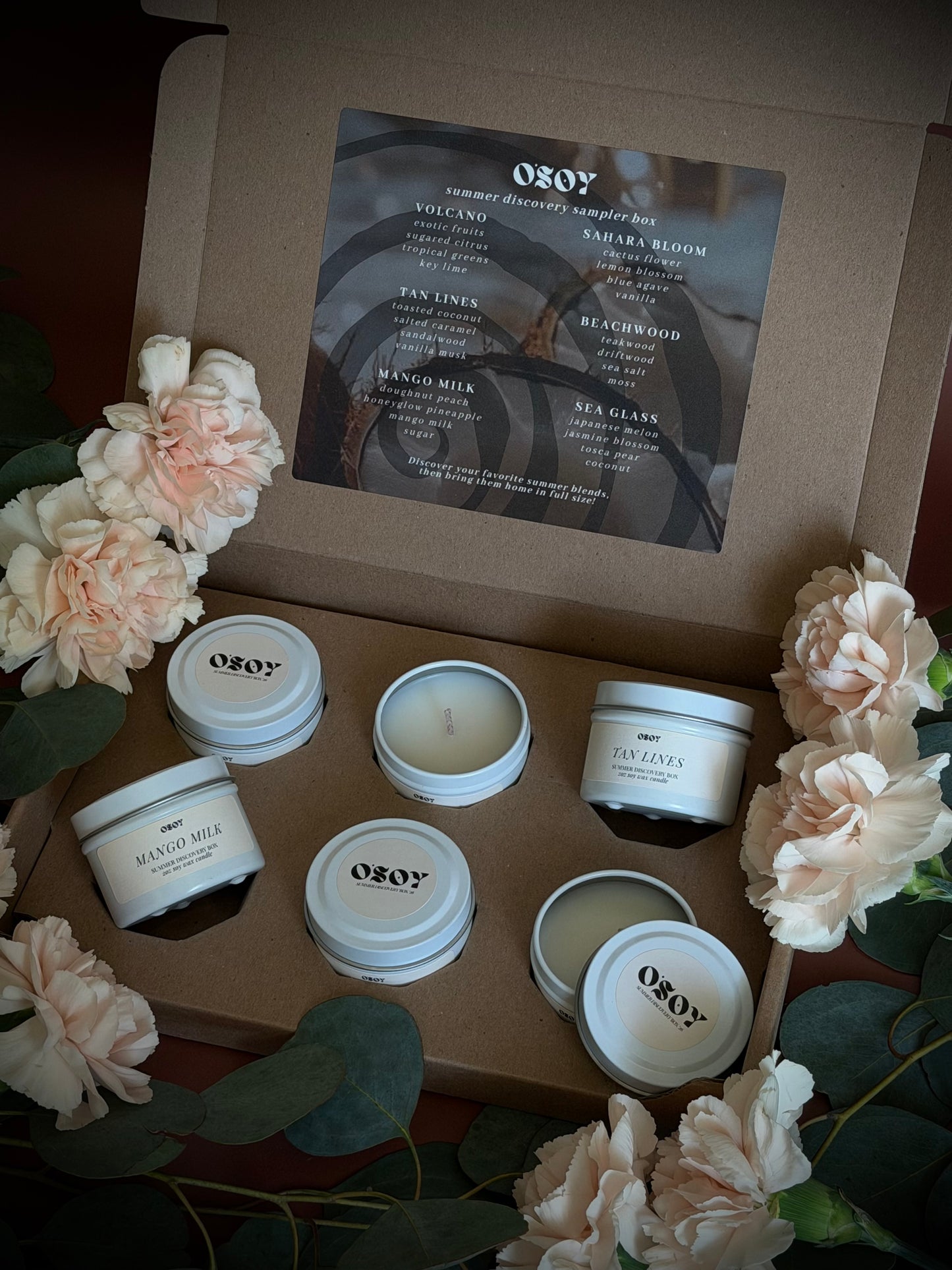 Summer Discovery Box Sampler Set