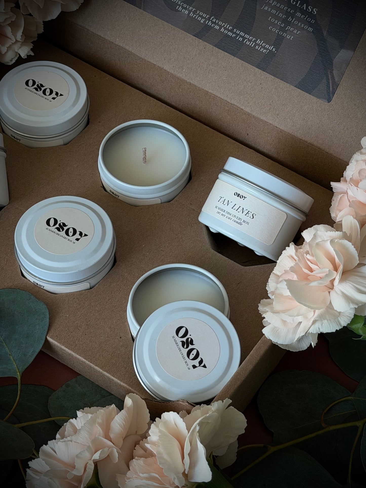 Summer Discovery Box Sampler Set
