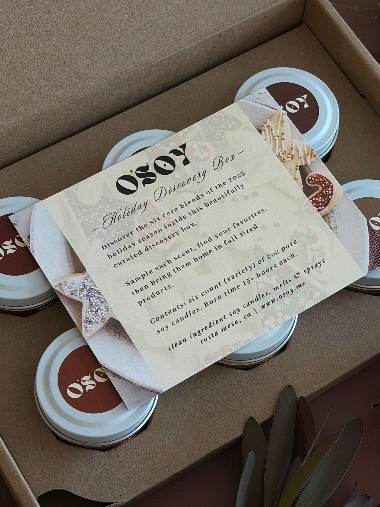 Holiday Discovery Box Sampler Set