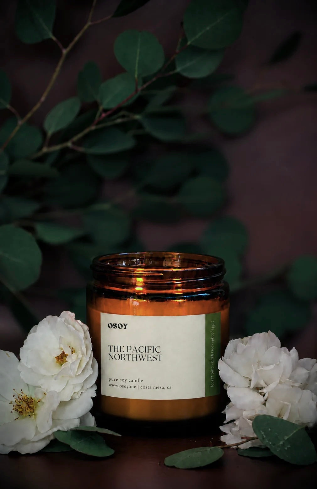 Pacific Northwest Soy Candles (7-12oz)