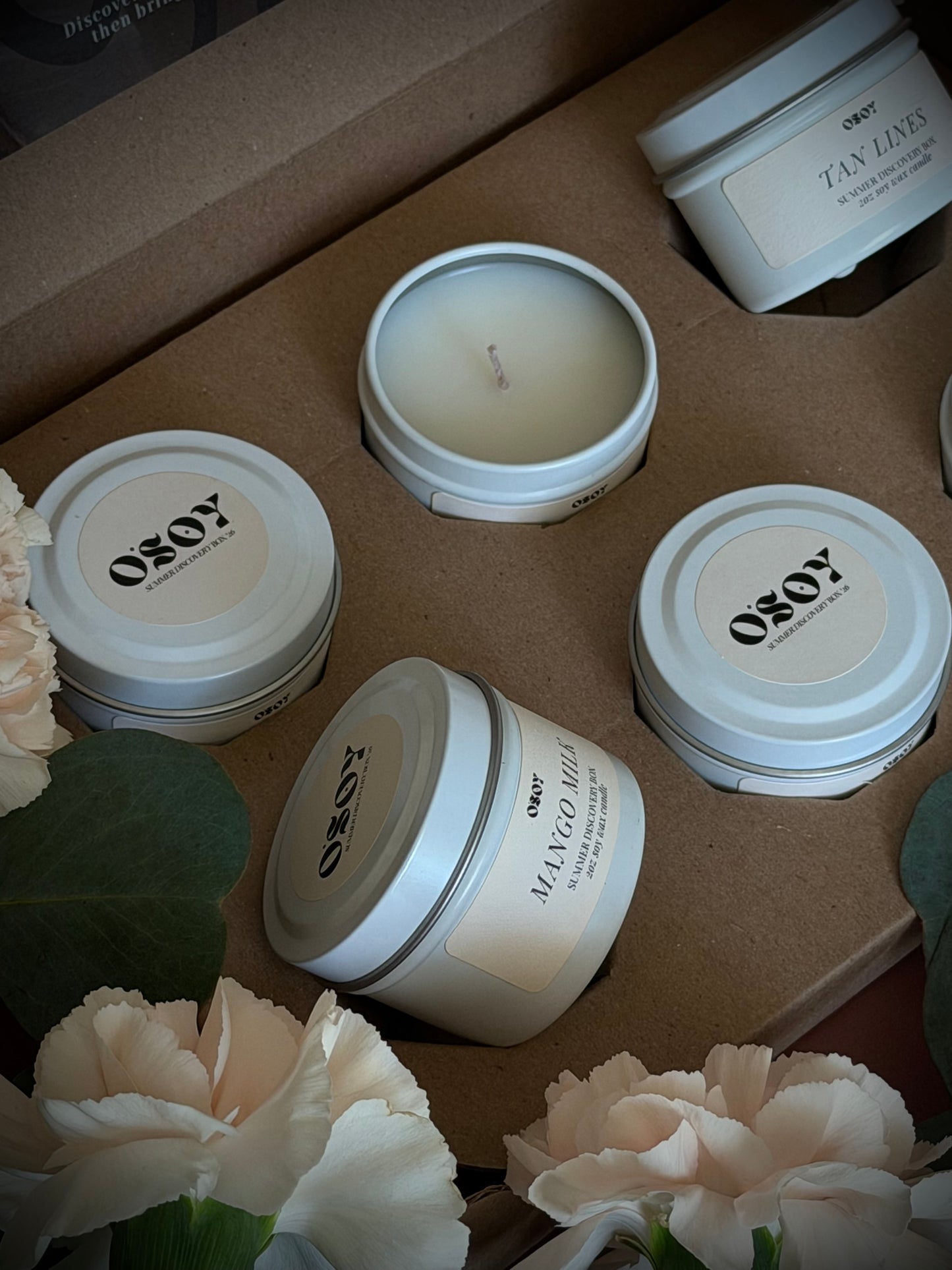 Summer Discovery Box Sampler Set