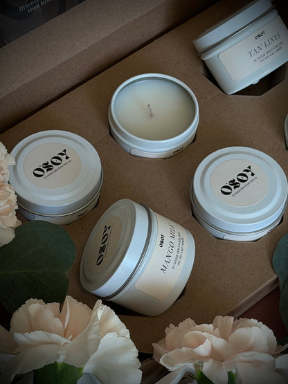 Summer Discovery Box Sampler Set