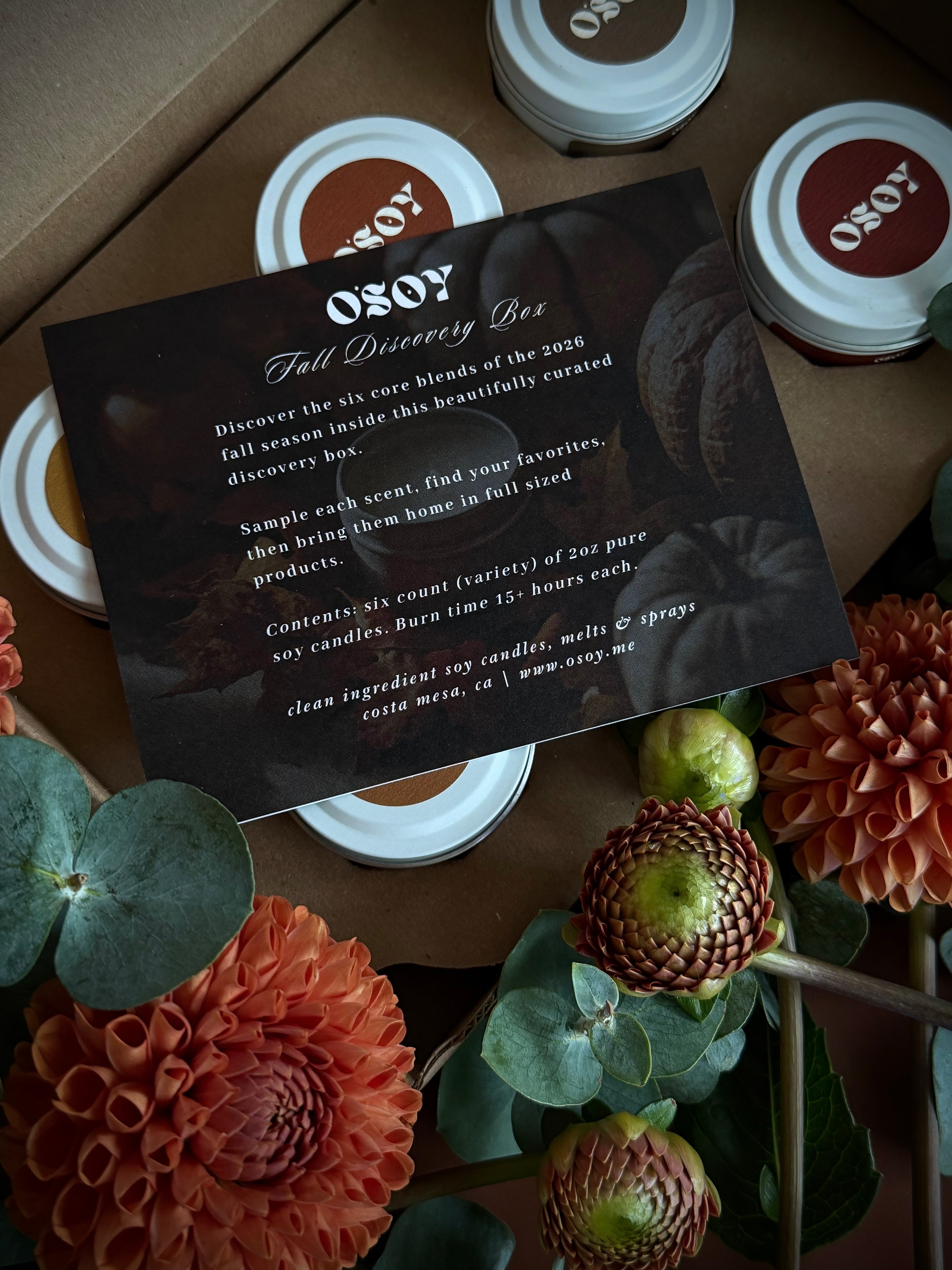 Fall Discovery Box Sampler Set