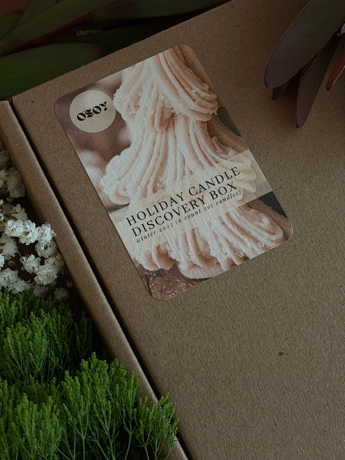 Holiday Discovery Box Sampler Set