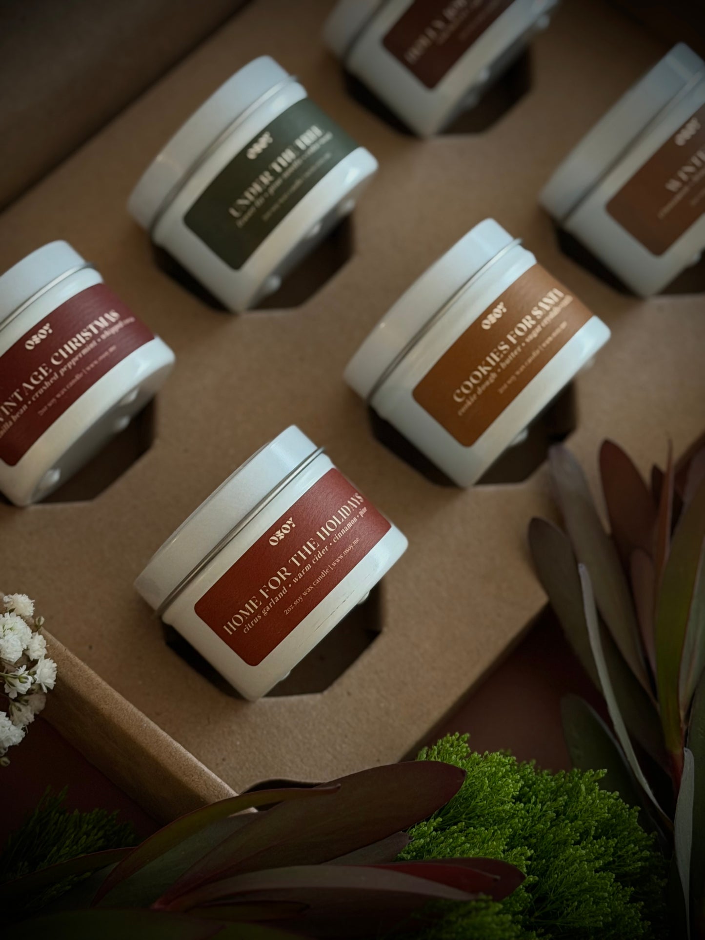 Holiday Discovery Box Sampler Set