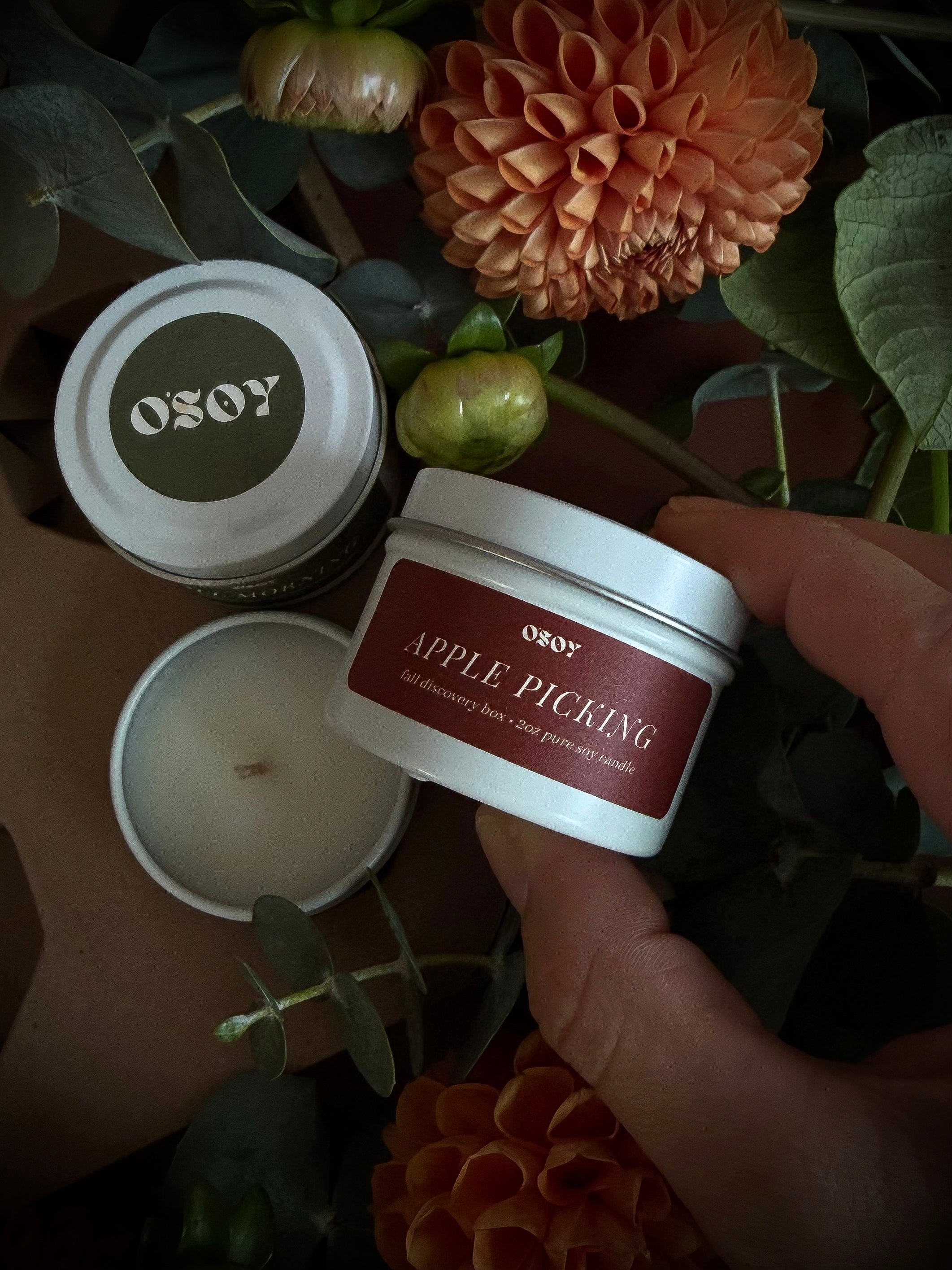 Fall Discovery Box Sampler Set