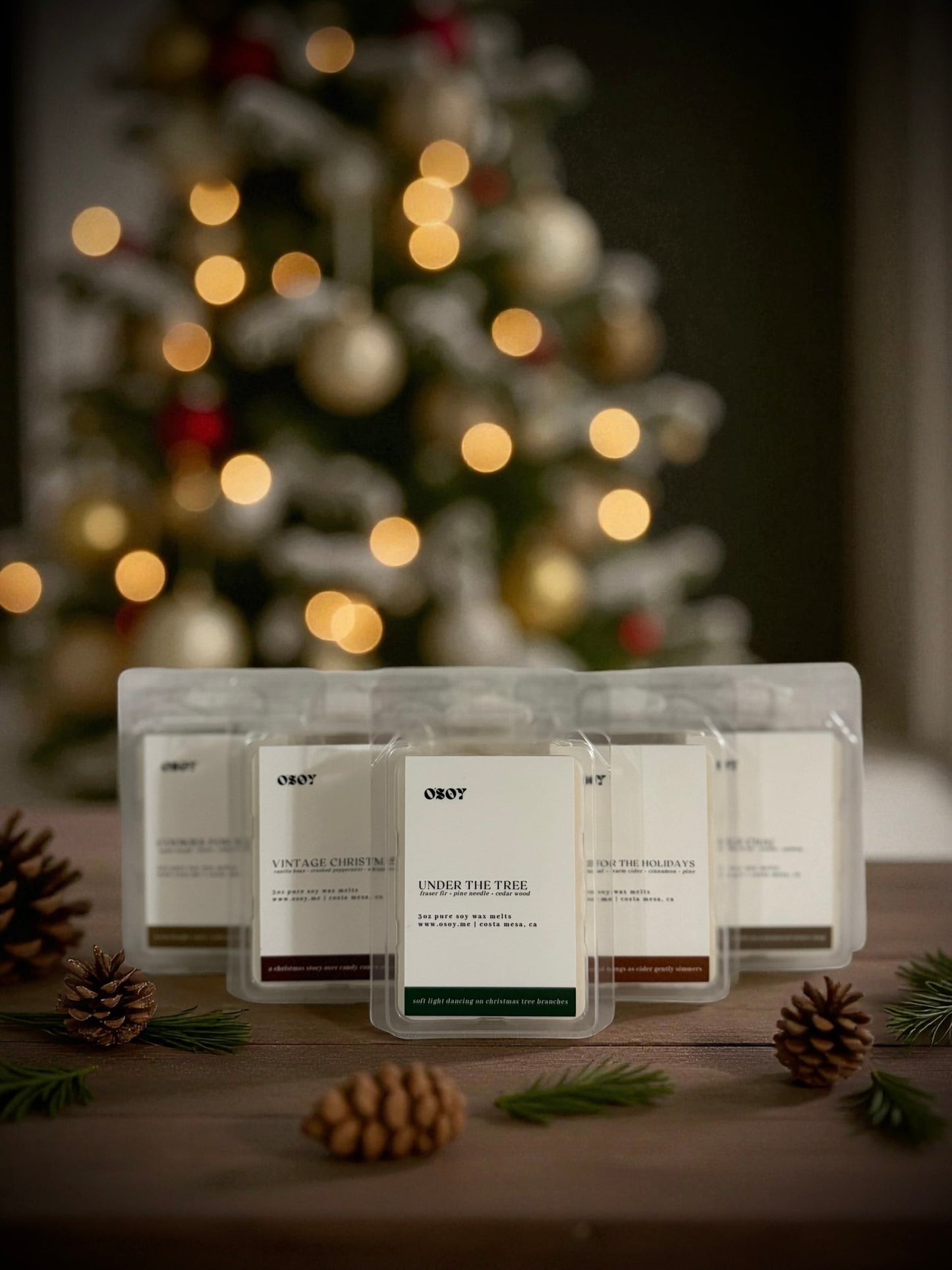 Wax Melts- the Holiday & Magic Park Collection