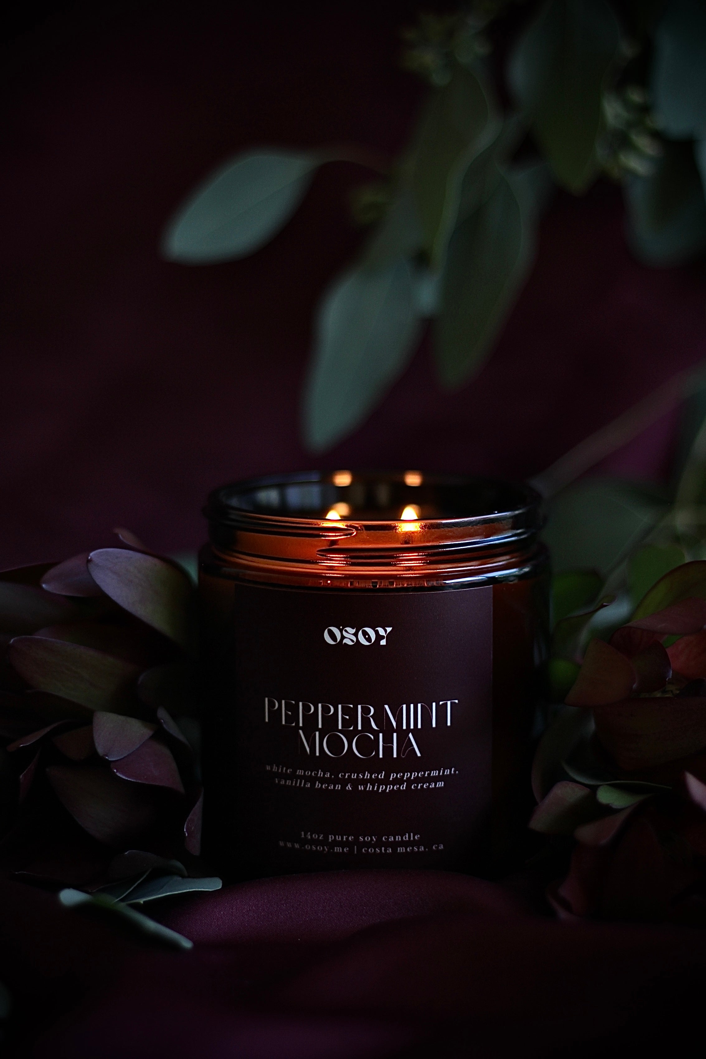 Peppermint Mocha- Large 14oz Soy Candle