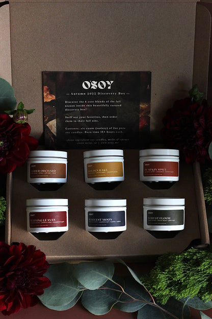 Fall (Autumn) Discovery Box