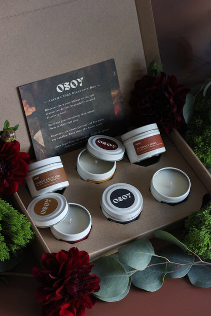 Fall (Autumn) Discovery Box