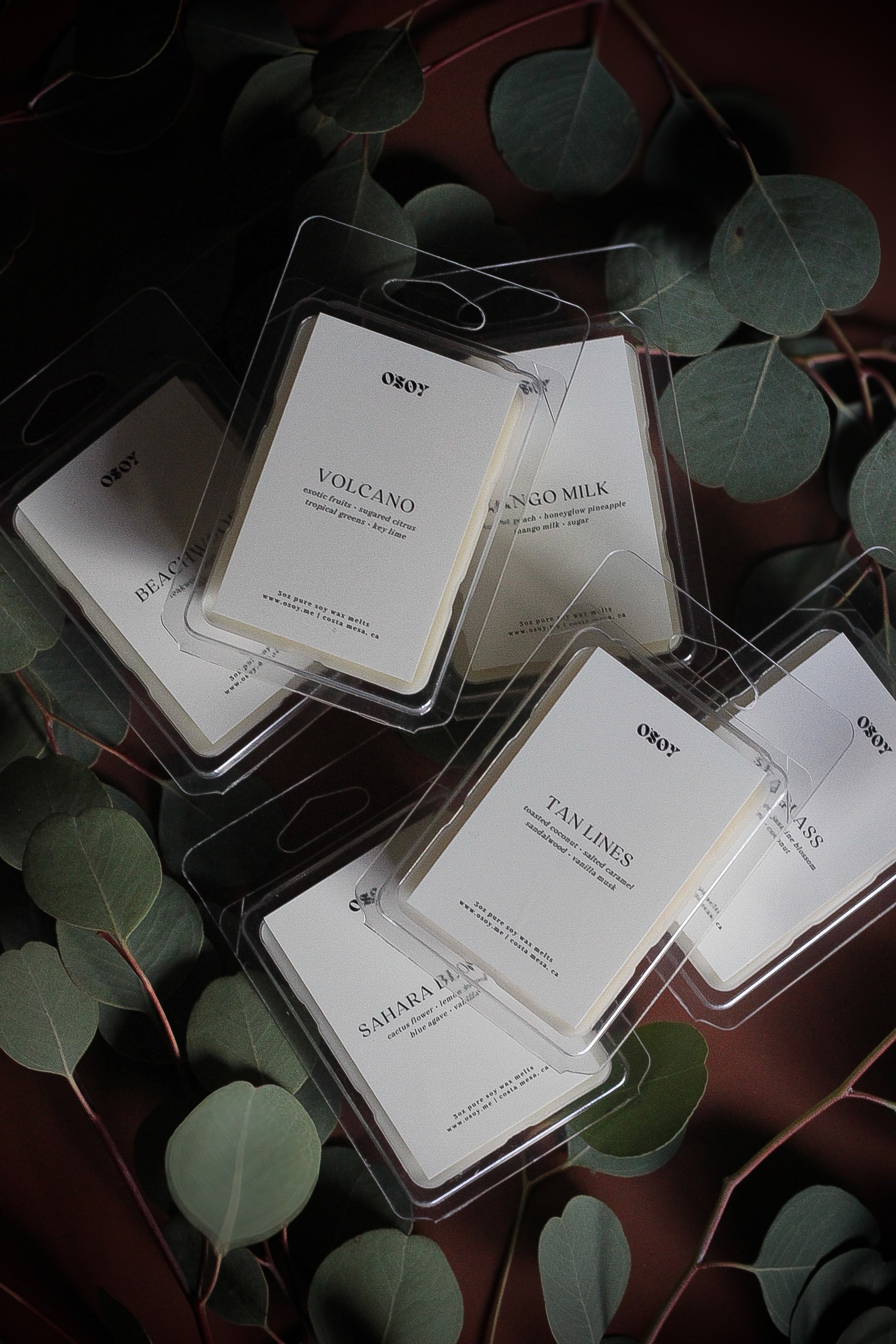 Summer Wax Melts (3oz)