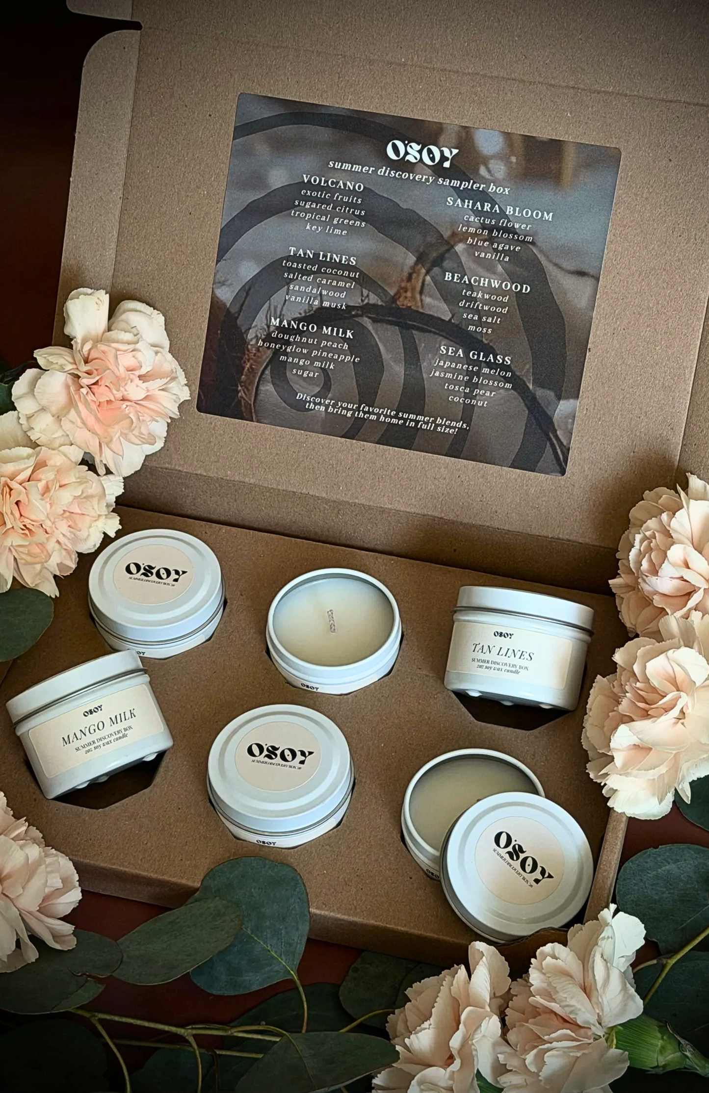 Summer Discovery Box Sampler Set